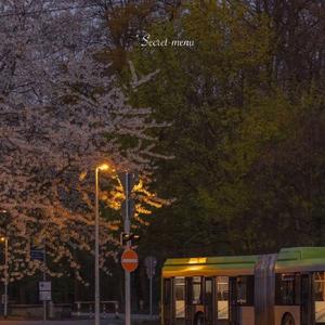 小女生光溜溜图片视频素材
